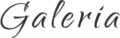 Galeria